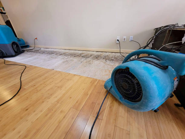 Professional Water Removal technician working in Rome, NY